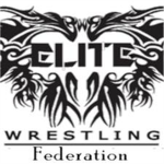MMA:Elite
