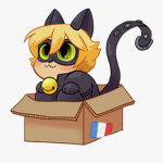 *+KittyNoir+*