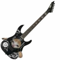 ⋆🎸°