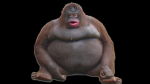 Not Pneumonoultramicroscopicsilicovolcanoconiosis Group Thumbnail