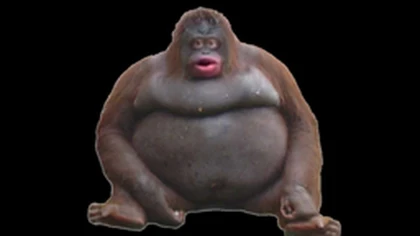 Not Pneumonoultramicroscopicsilicovolcanoconiosis Roblox group icon