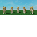 Dogs! ! !