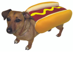 Hot Dog Studios