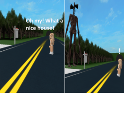 The house...