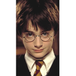 Harry Potter forever