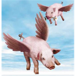 Team The Epic Pig