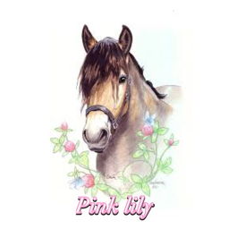 Pink Lily Stables