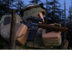 |PAF| |PMP| Polish Sniper Class