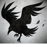 Crows Studio