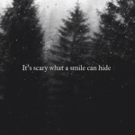 The Fake Smilers