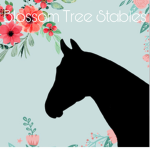 Blossom Tree Stables Group Thumbnail