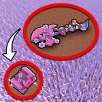 [SAKURA🌸]  Grass Cutters