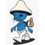 Smurf Cat Village