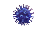 FIGHT VIRUS