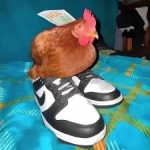 os troux bloxianos :D