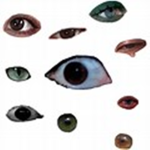 r0x