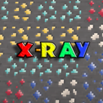 X-RAY Group BRUH!