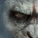 ~{House Of Apes} ~ {HOA}