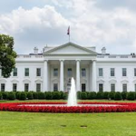 United States Election and Government Simulator