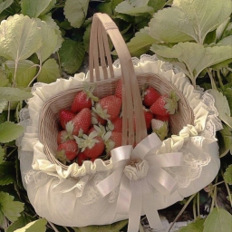 ˗ˏˋ 🍓 ˎˊ˗