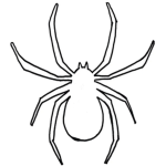 Spider Karate