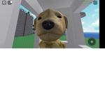 Gamer kids and pre teens