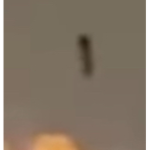 The N o o b i e s.