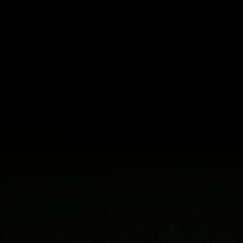 Dark night