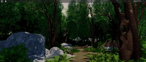 Calm Forest Showcase