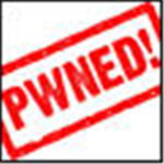 The Pwned and the Pwnerz
