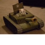Kitty Tonk