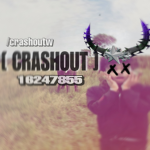 crashout 安