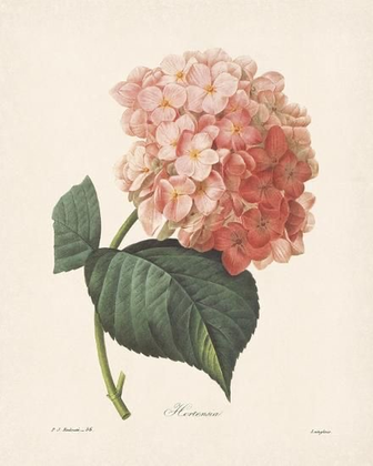Taped Photograph