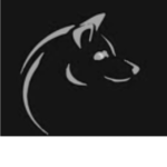Doge Development!