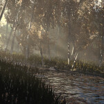 Summer Forest