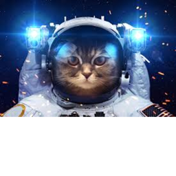 space cats bois's official Fan Game