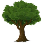 #trees team