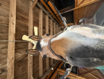Hennicorn7