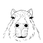 TheCAPYBARA_!
