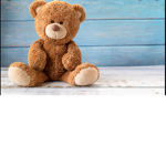 Teddy clothing!