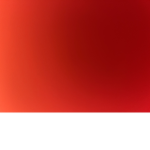 xXTRXSH GXNGXx