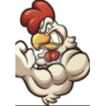 -CHICKEN GROUP-
