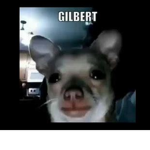 The Children of Gilbert