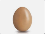 the almighty eggs