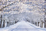 Snow street