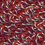 ] 6 [