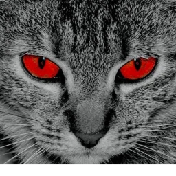 BOSS SCARY (But A Boss cat UPDATED) icon