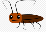 Roaches club