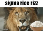 Da Amazing Fluffs