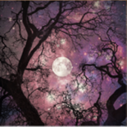 [Fantasy Forest]